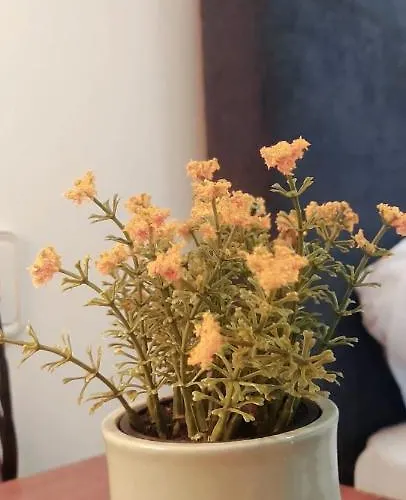 Hipoclub Delux Faro Park 189 וילה